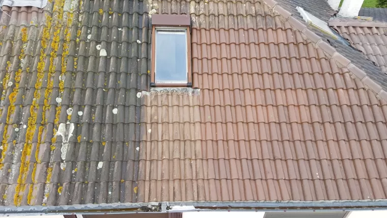 Démoussage, traitement des tuiles