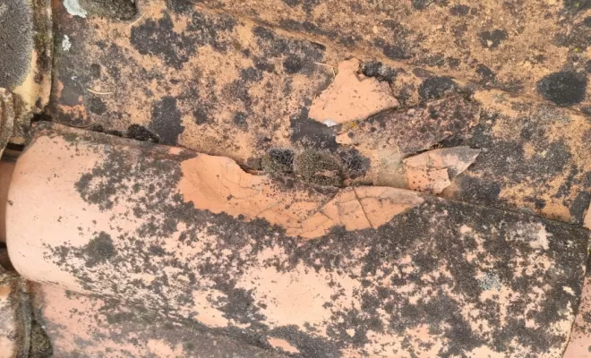 Tuile poreuse qui a gelée